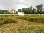 5f0f627495592.jpg